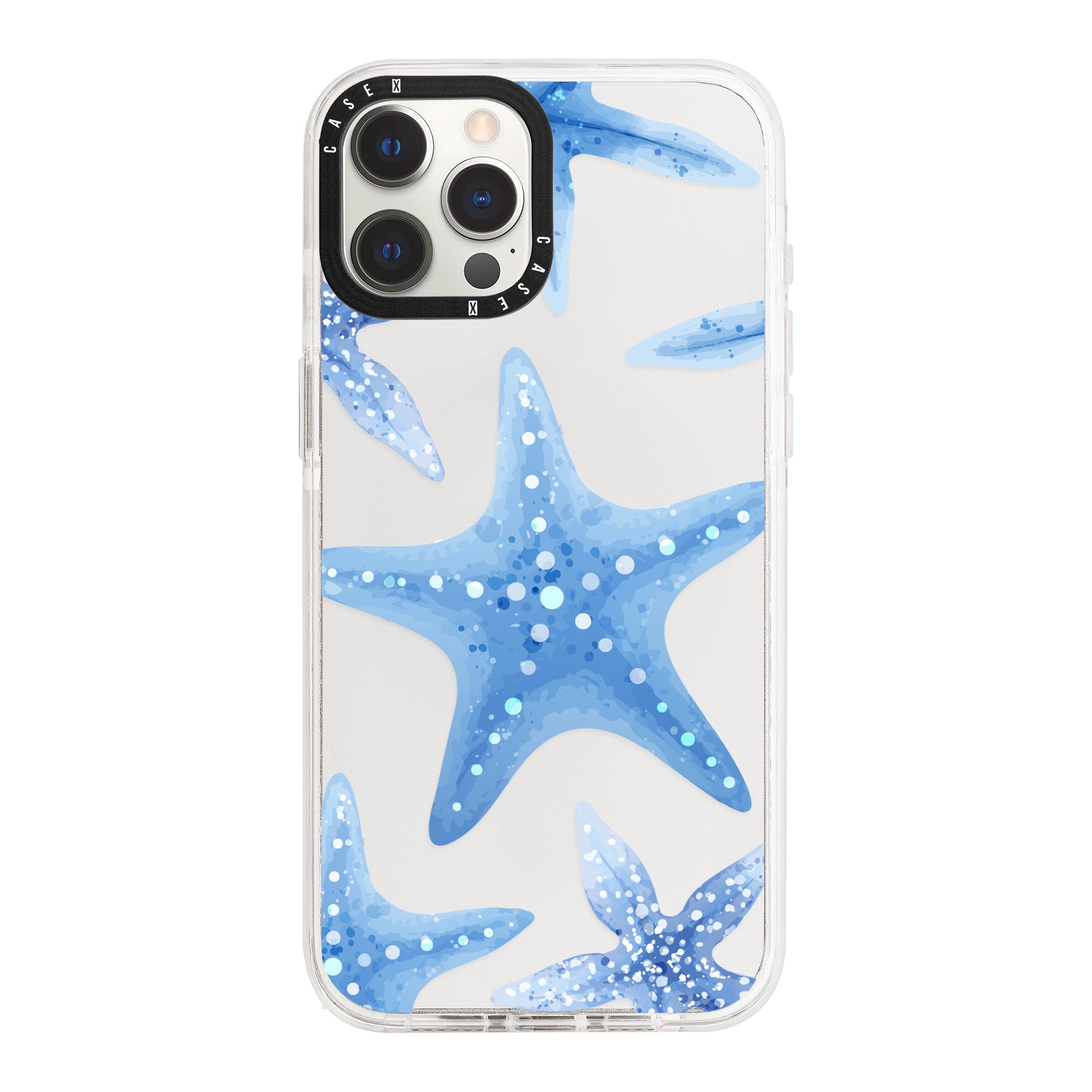 iPhone 12 Pro Max / Standard