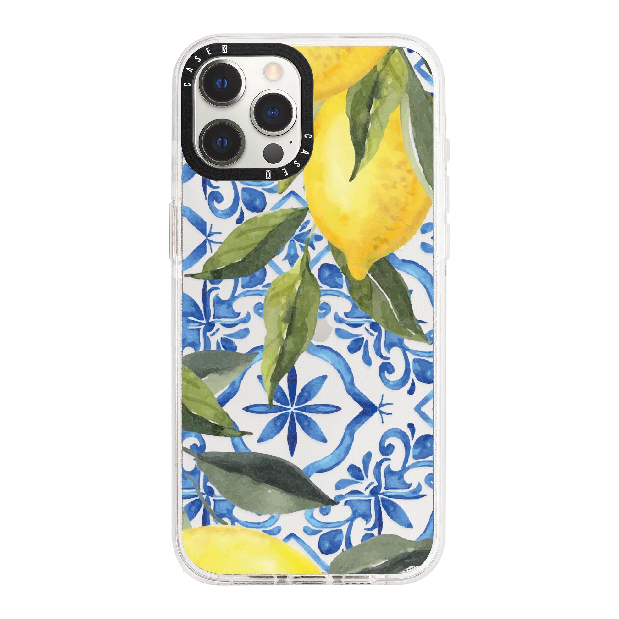 iPhone 12 Pro / Standard