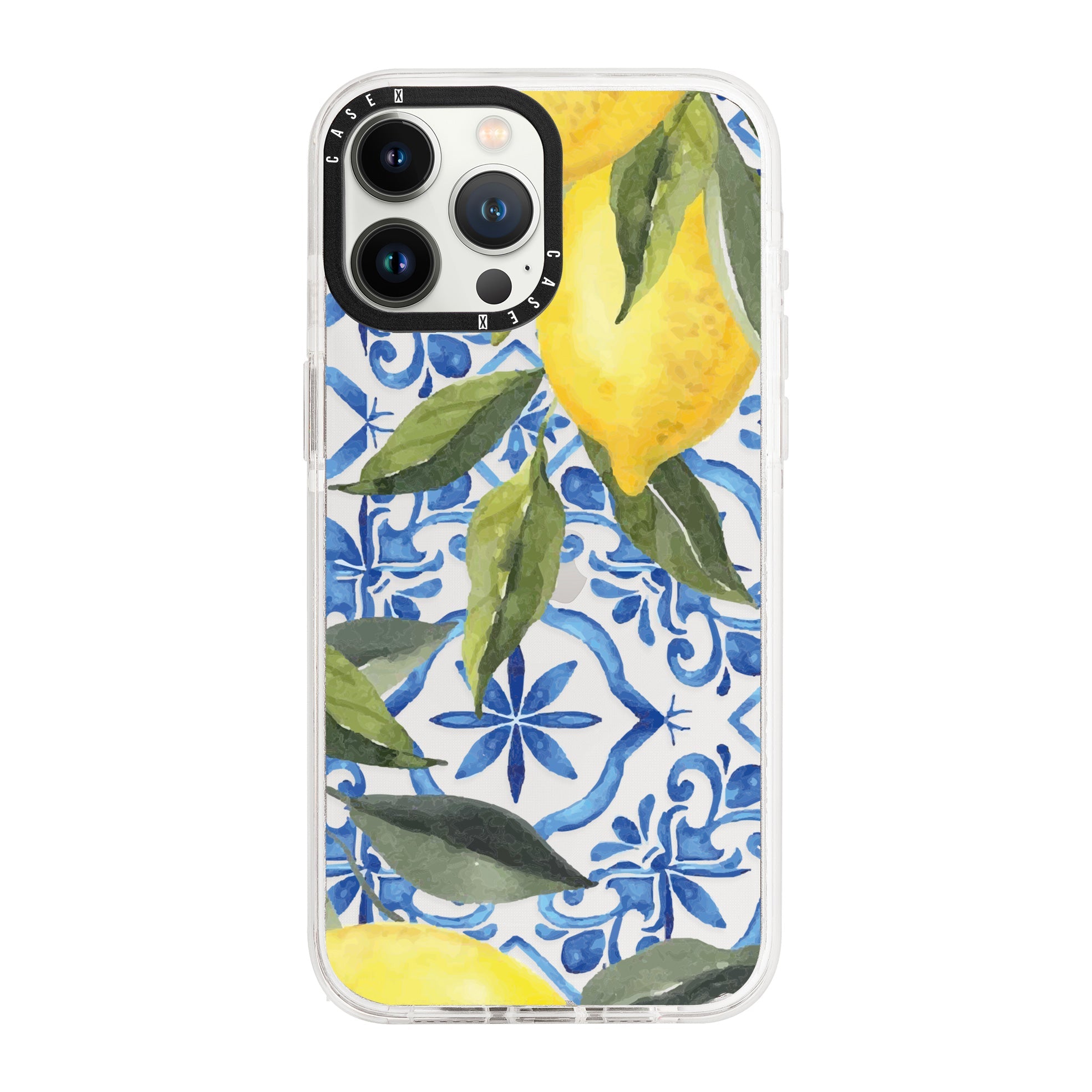 iPhone 13 Pro / Standard