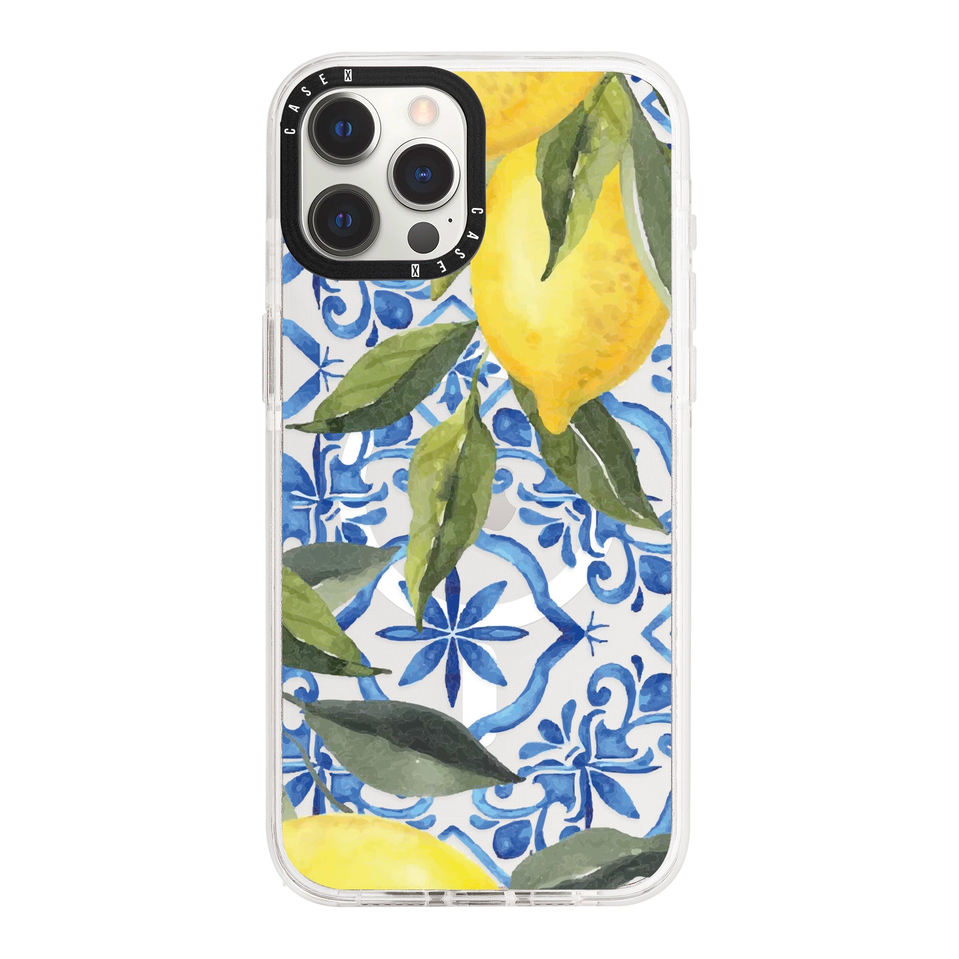 iPhone 12 Pro / MagSafe Compatible