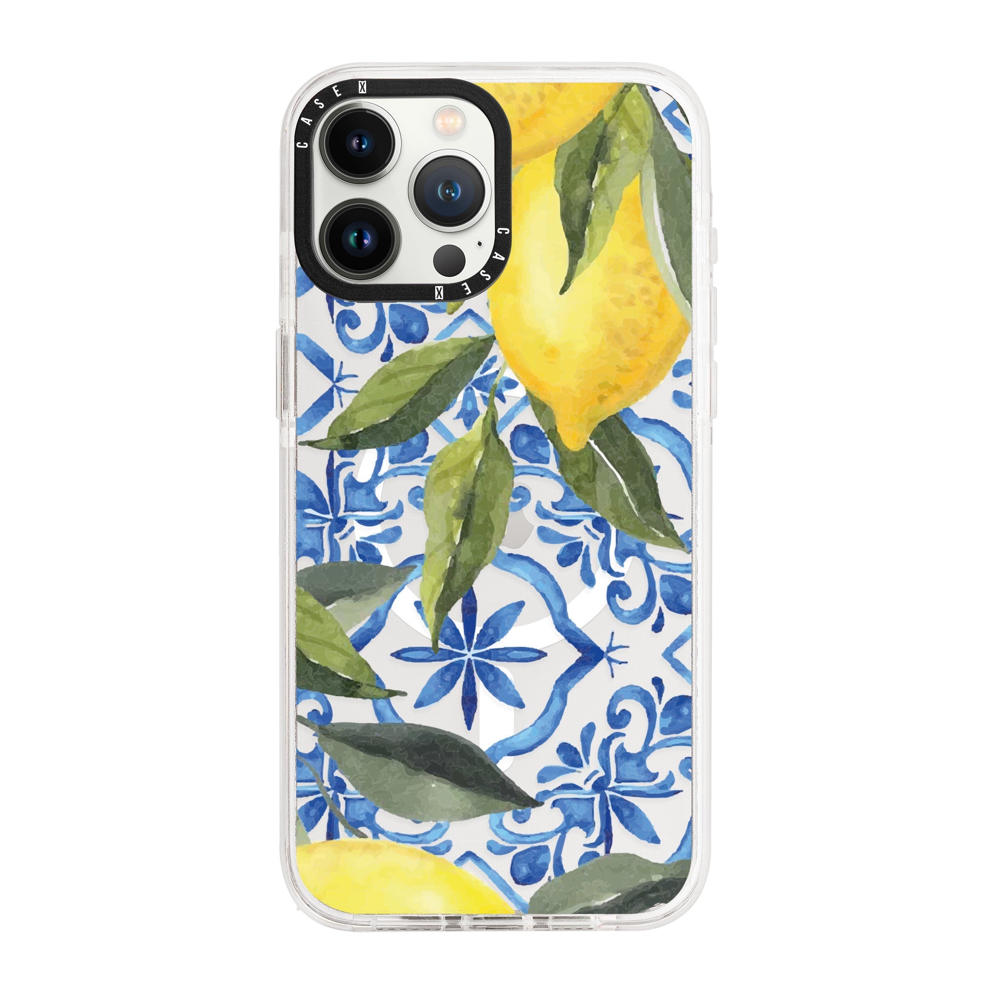 iPhone 13 Pro / MagSafe Compatible