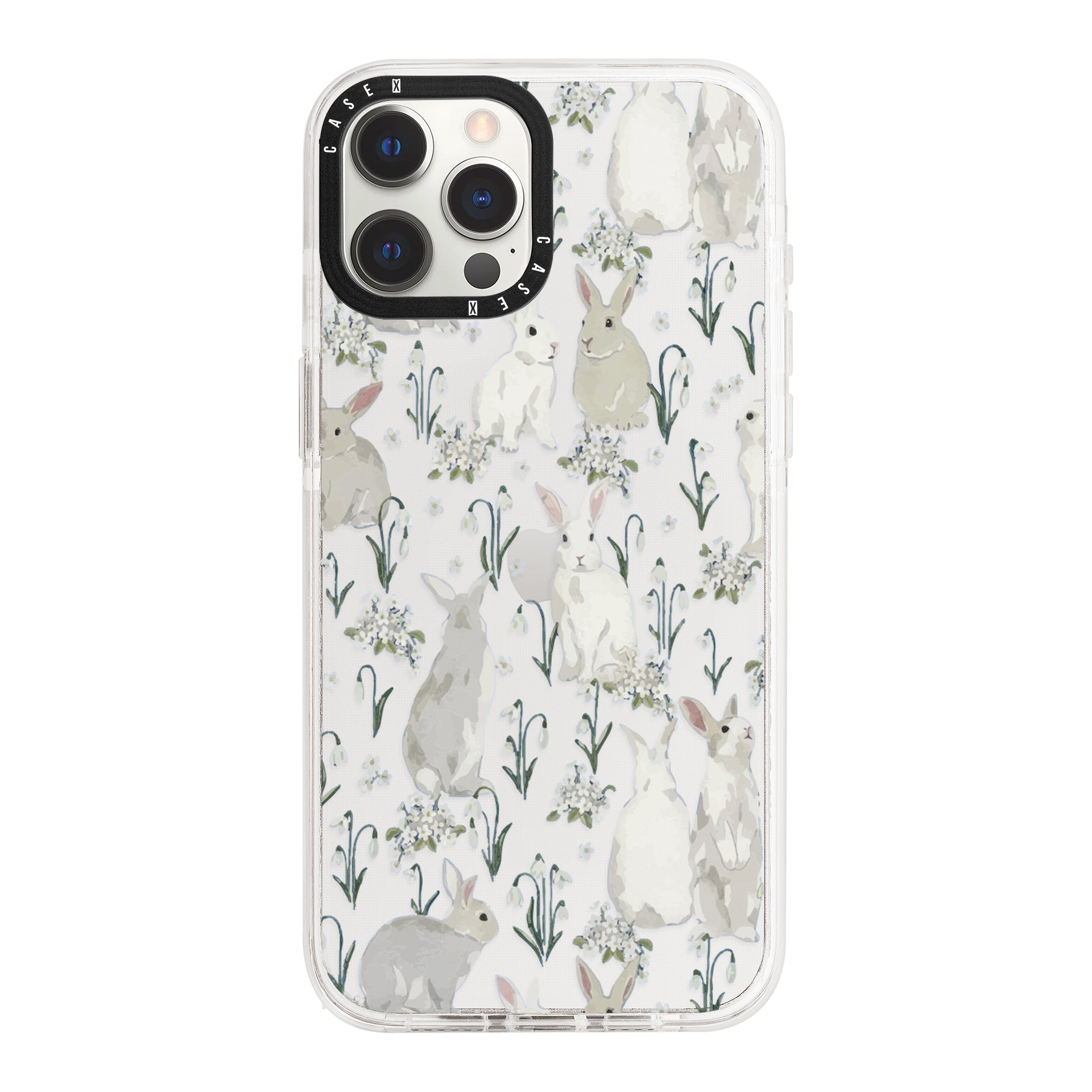 iPhone 12 Pro / Standard