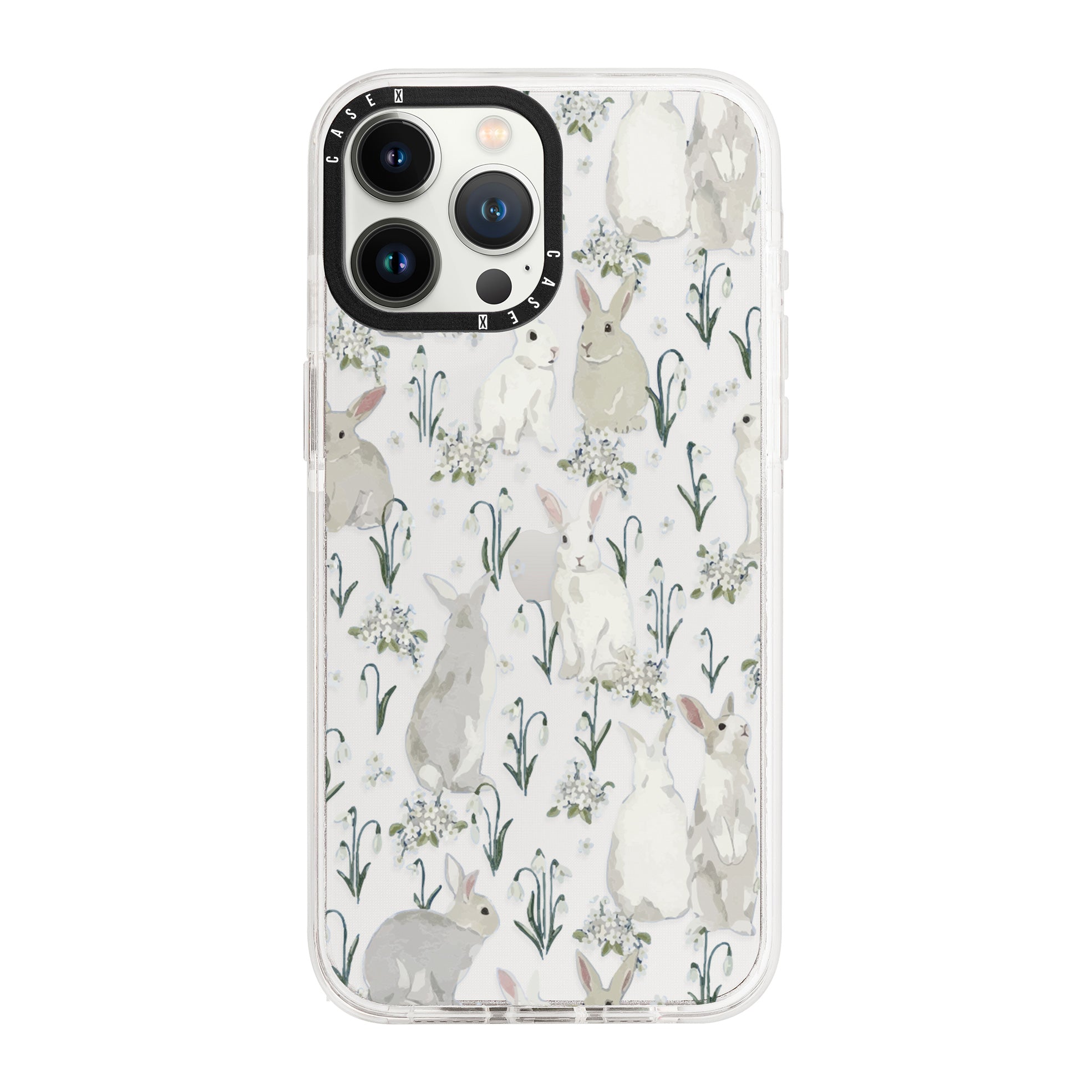 iPhone 13 Pro Max / Standard