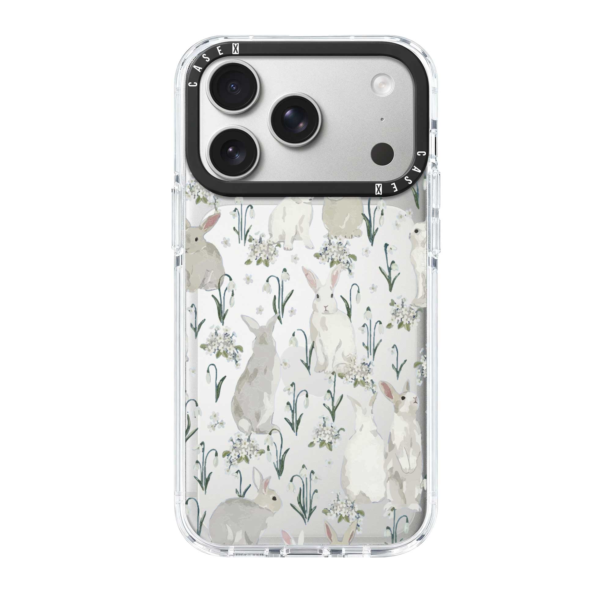 iPhone 17 Pro / Standard