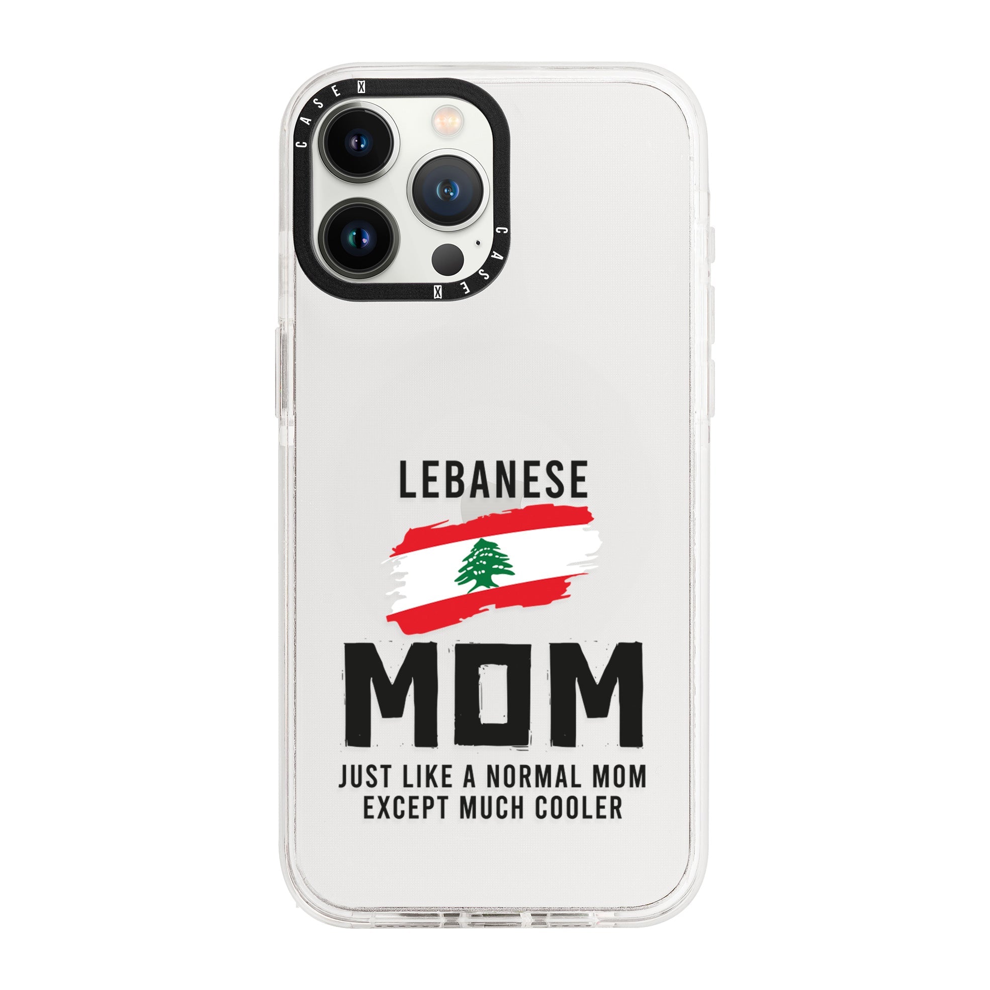 iPhone 13 Pro Max / Standard