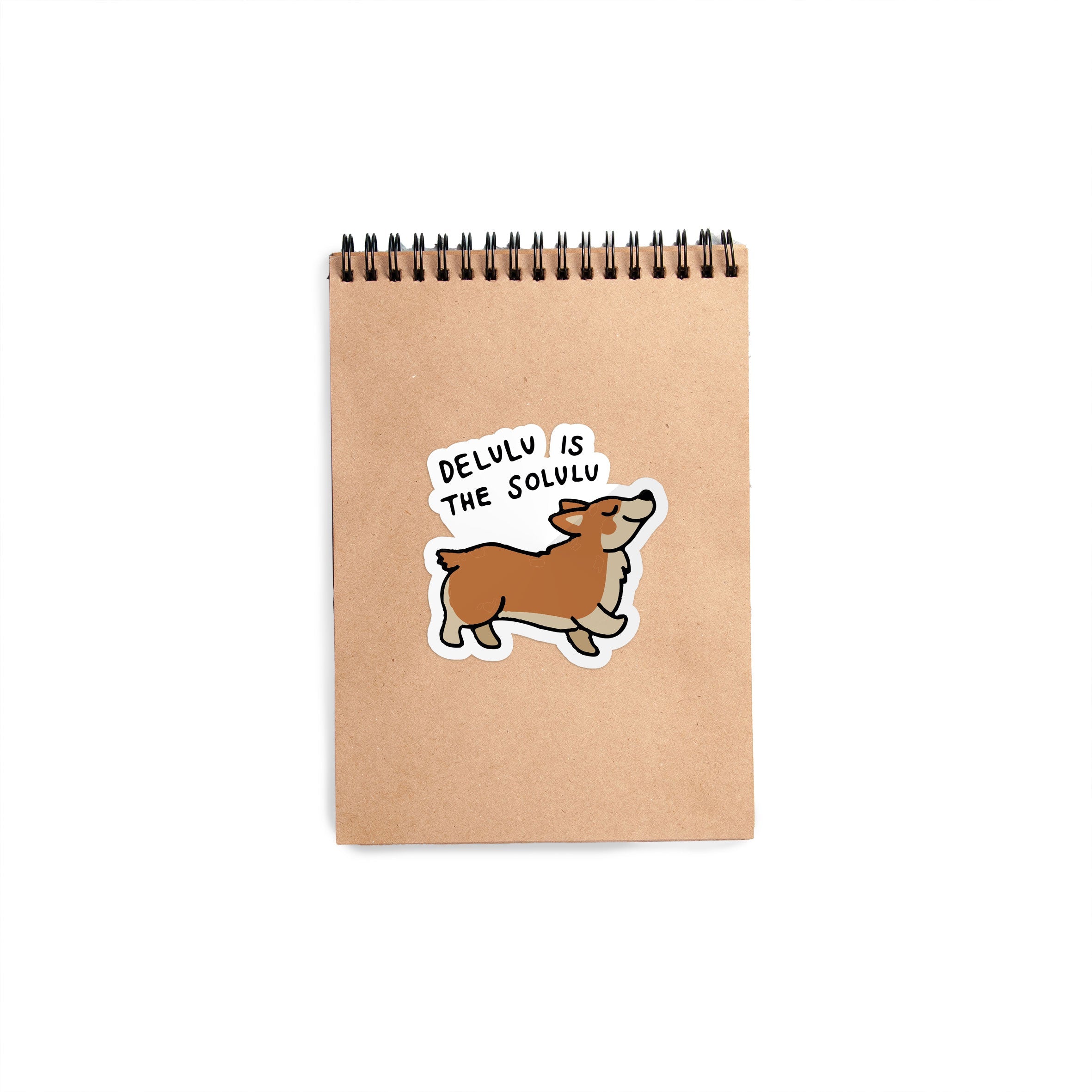 Delulu Is The Solulu