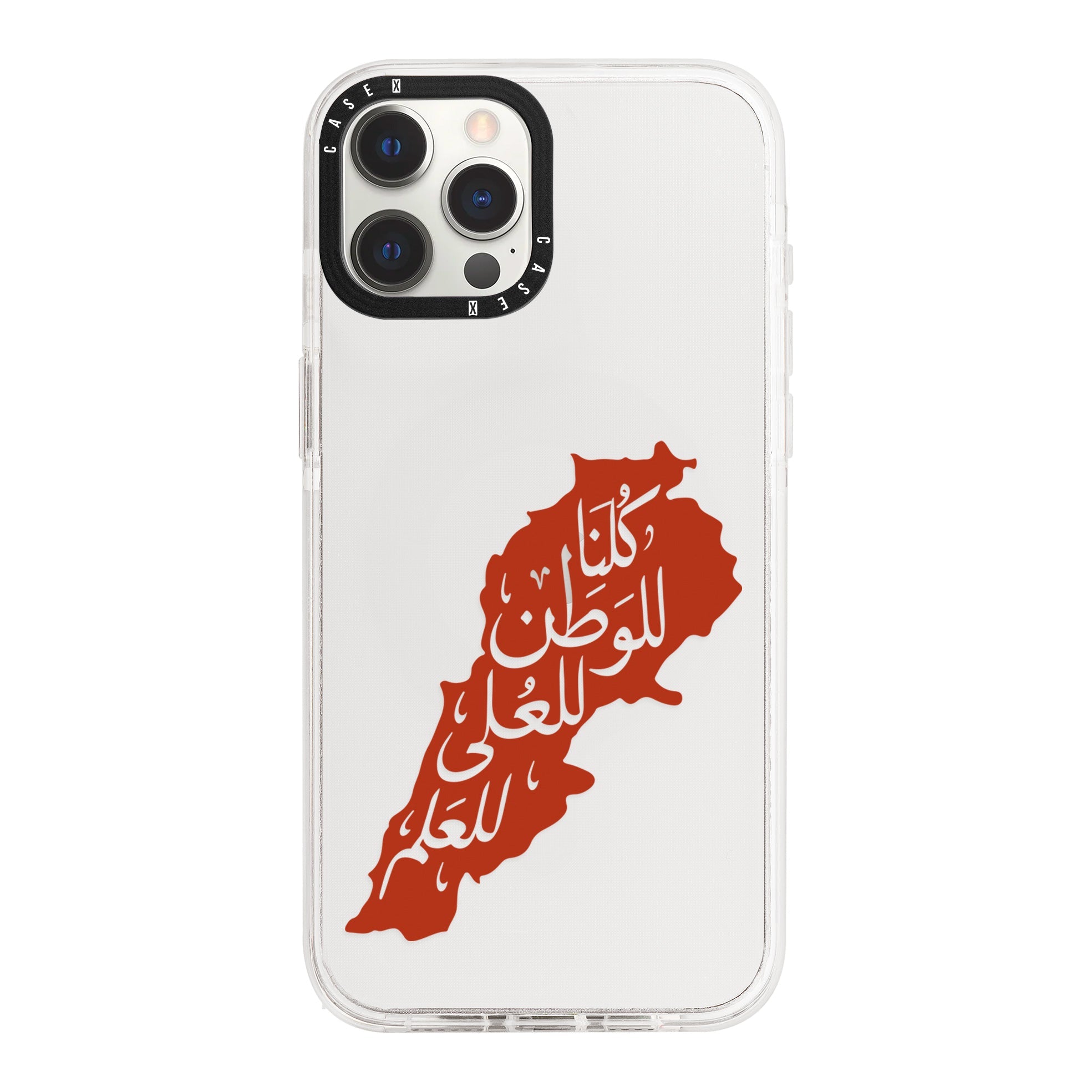 iPhone 12 Pro Max / Standard