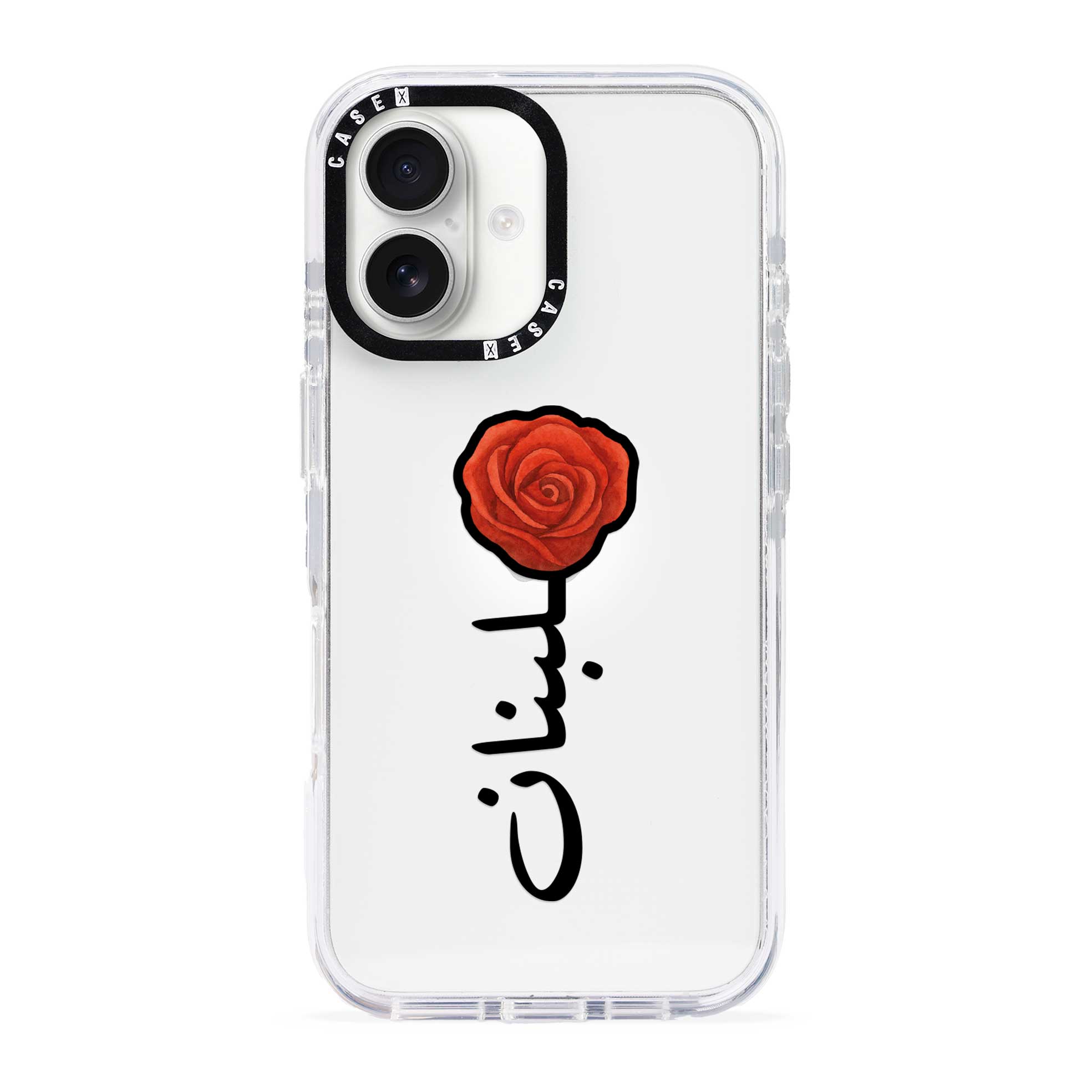 iPhone 17 / Standard