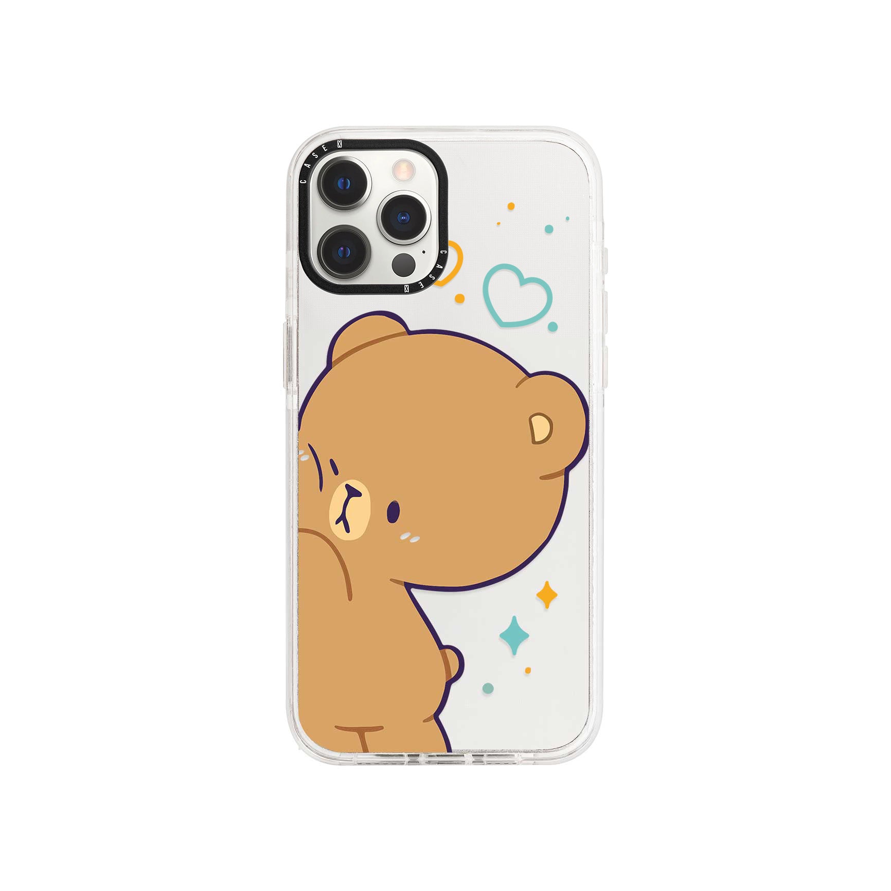 iPhone 12 Pro / Standard