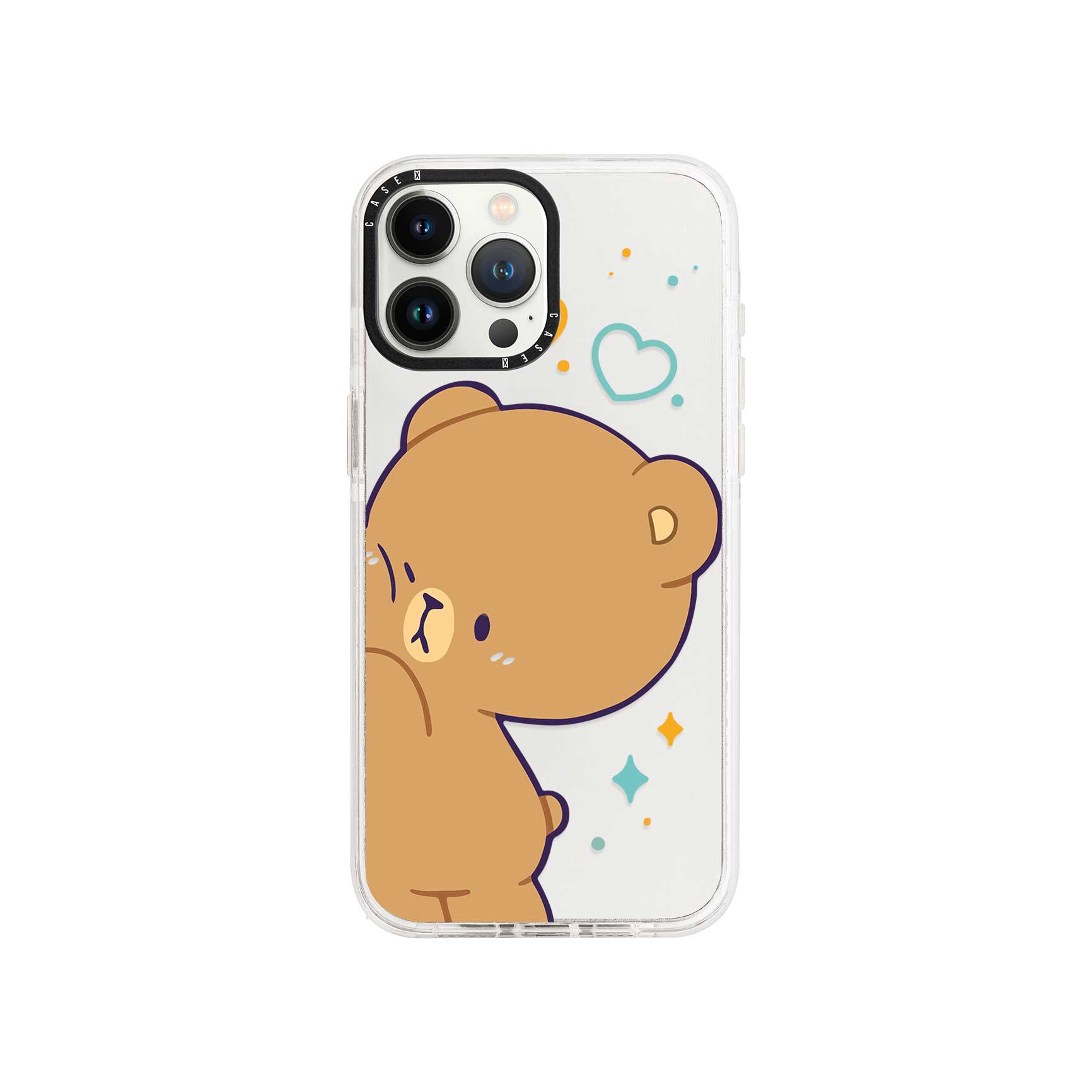 iPhone 13 Pro / Standard