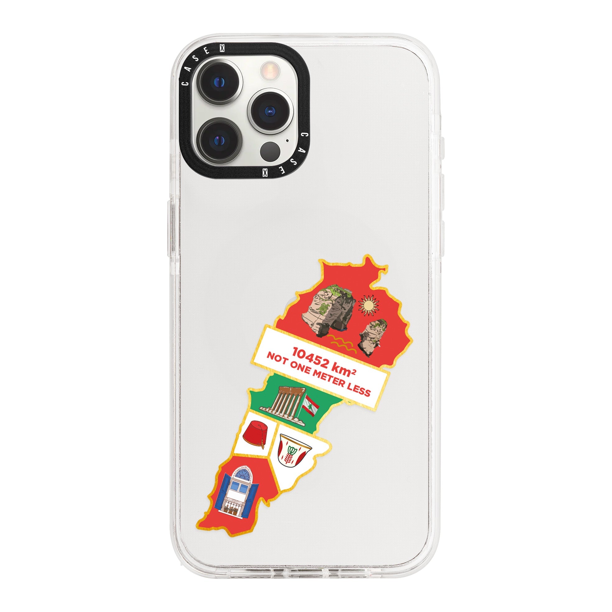 iPhone 12 Pro Max / Standard