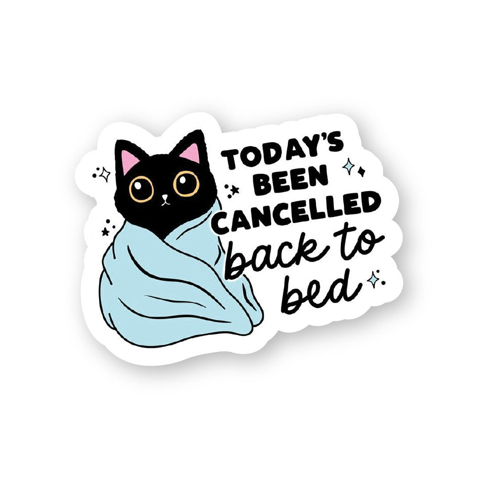 Sleepy Cat