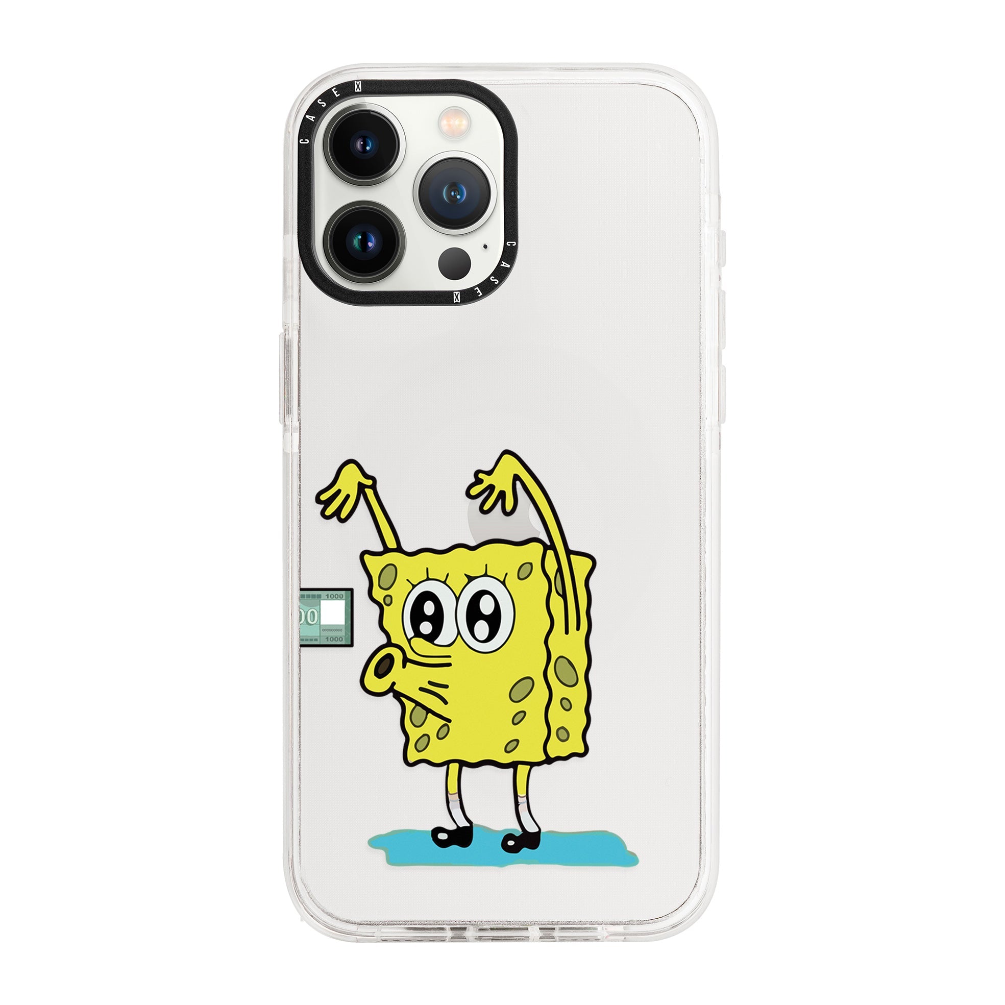 iPhone 13 Pro Max / Standard