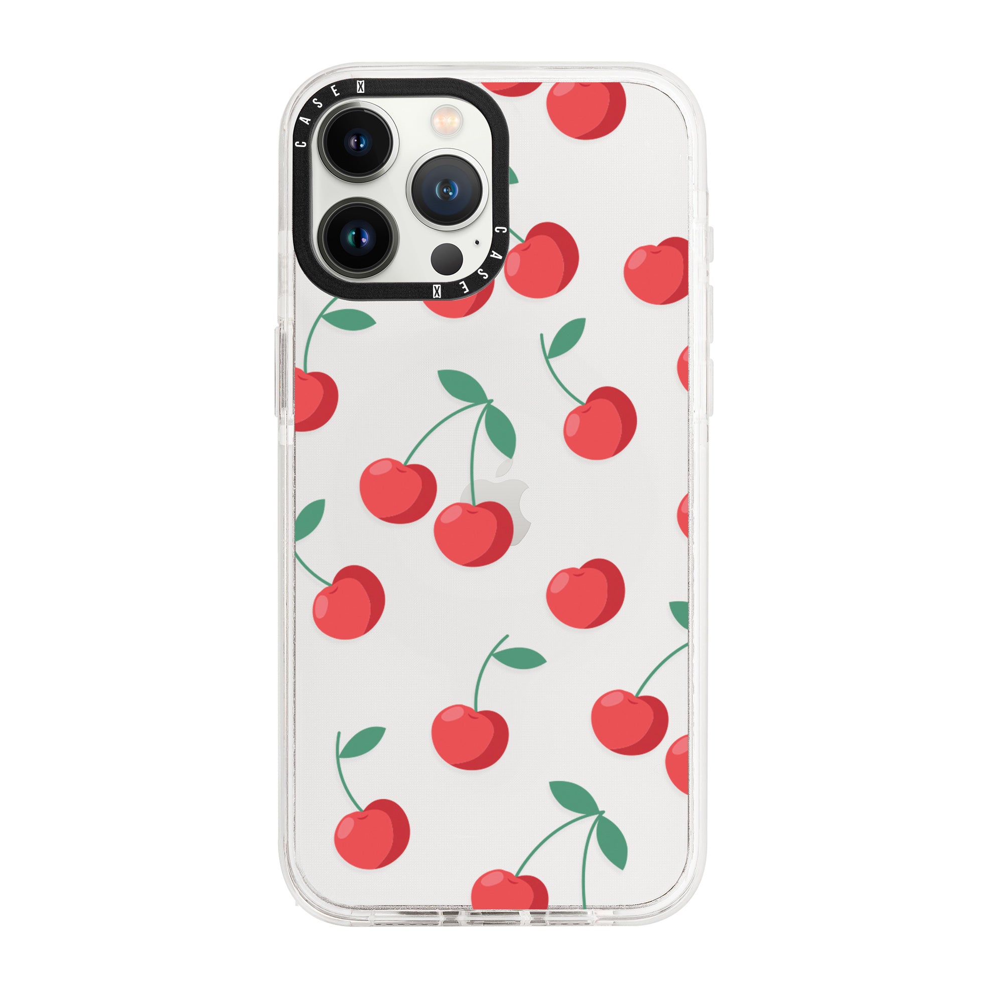 iPhone 13 Pro Max / Standard