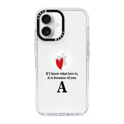 iPhone 16 / Standard