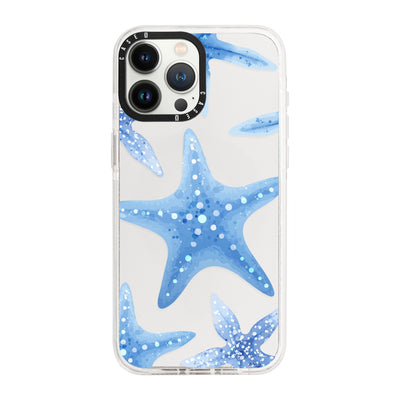 iPhone 13 Pro / Standard