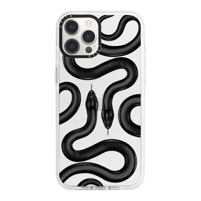 iPhone 12 Pro / Standard