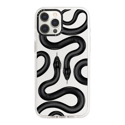 iPhone 12 Pro / Standard