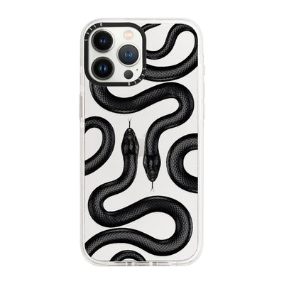 iPhone 13 Pro / Standard