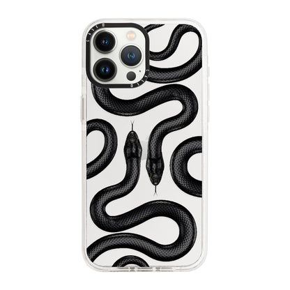 iPhone 13 Pro / Standard