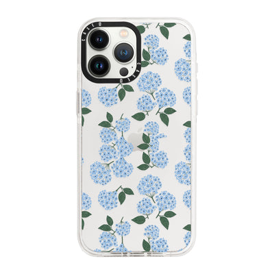 iPhone 13 Pro / Standard