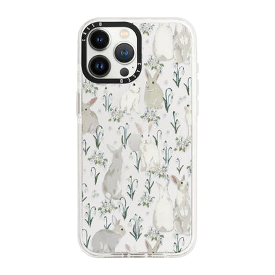 iPhone 13 Pro / Standard