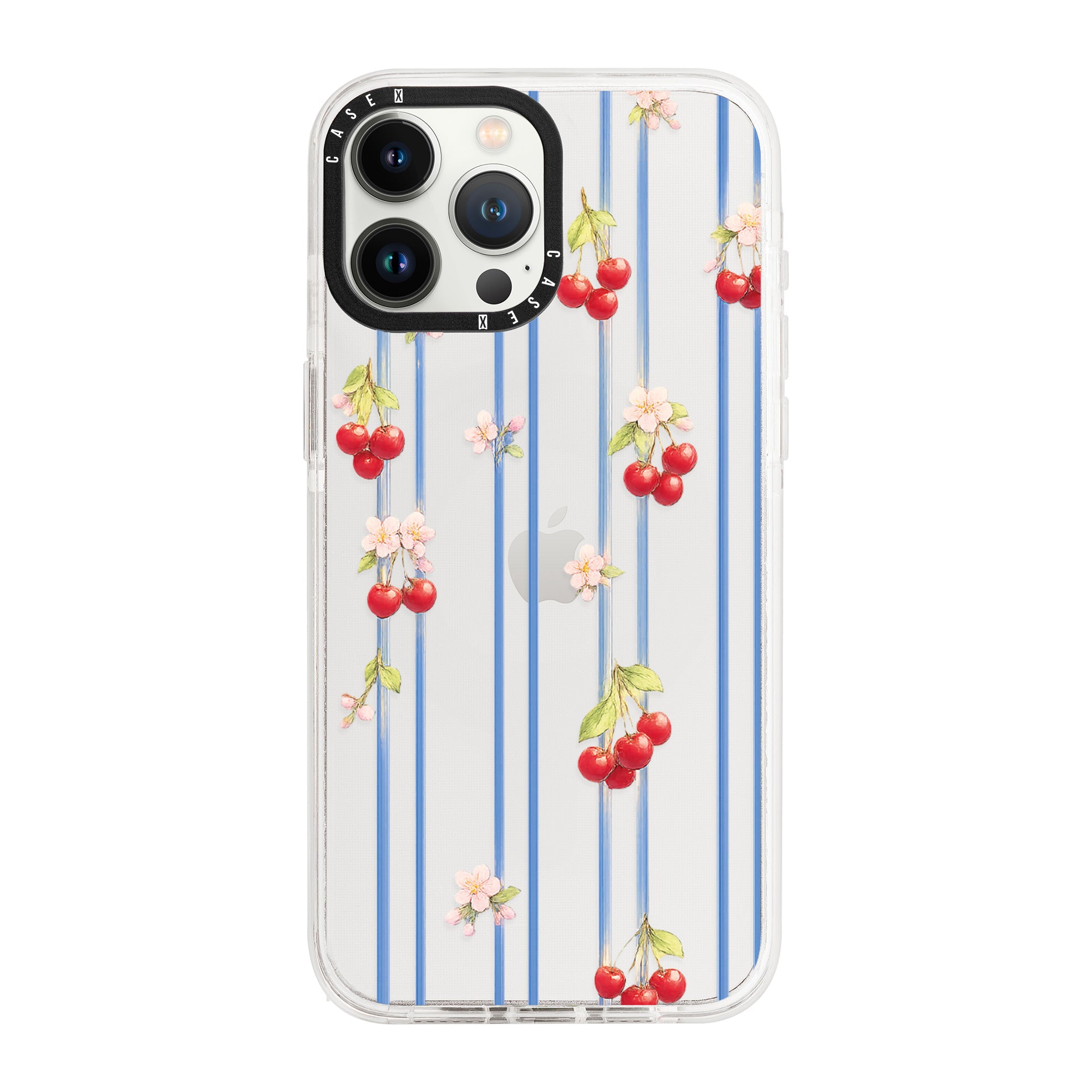 iPhone 13 Pro Max / Standard