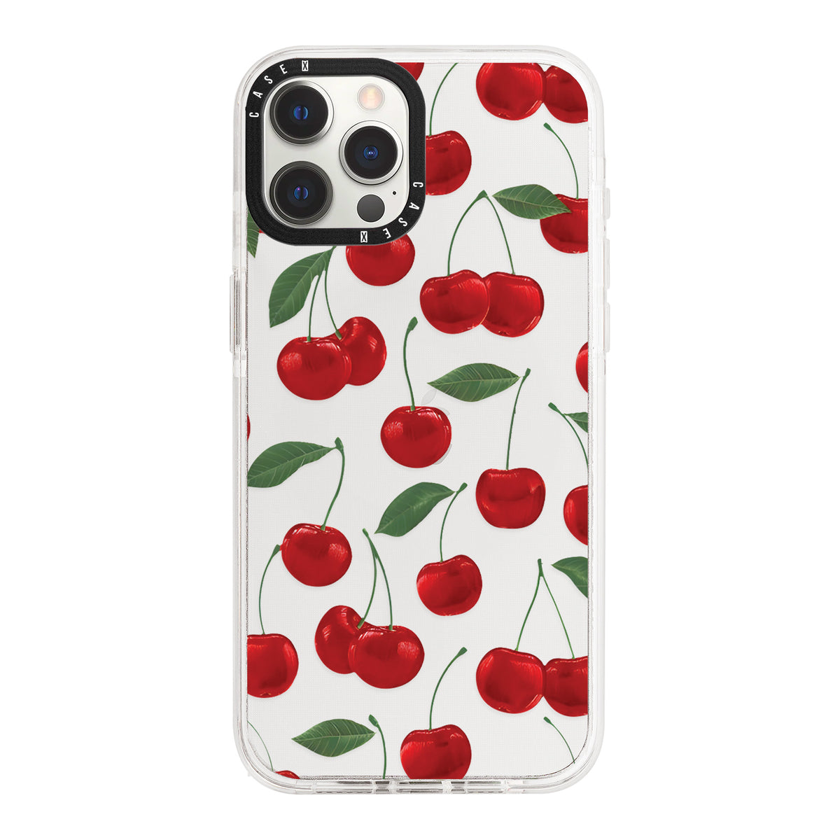 iPhone 12 Pro Max / Standard