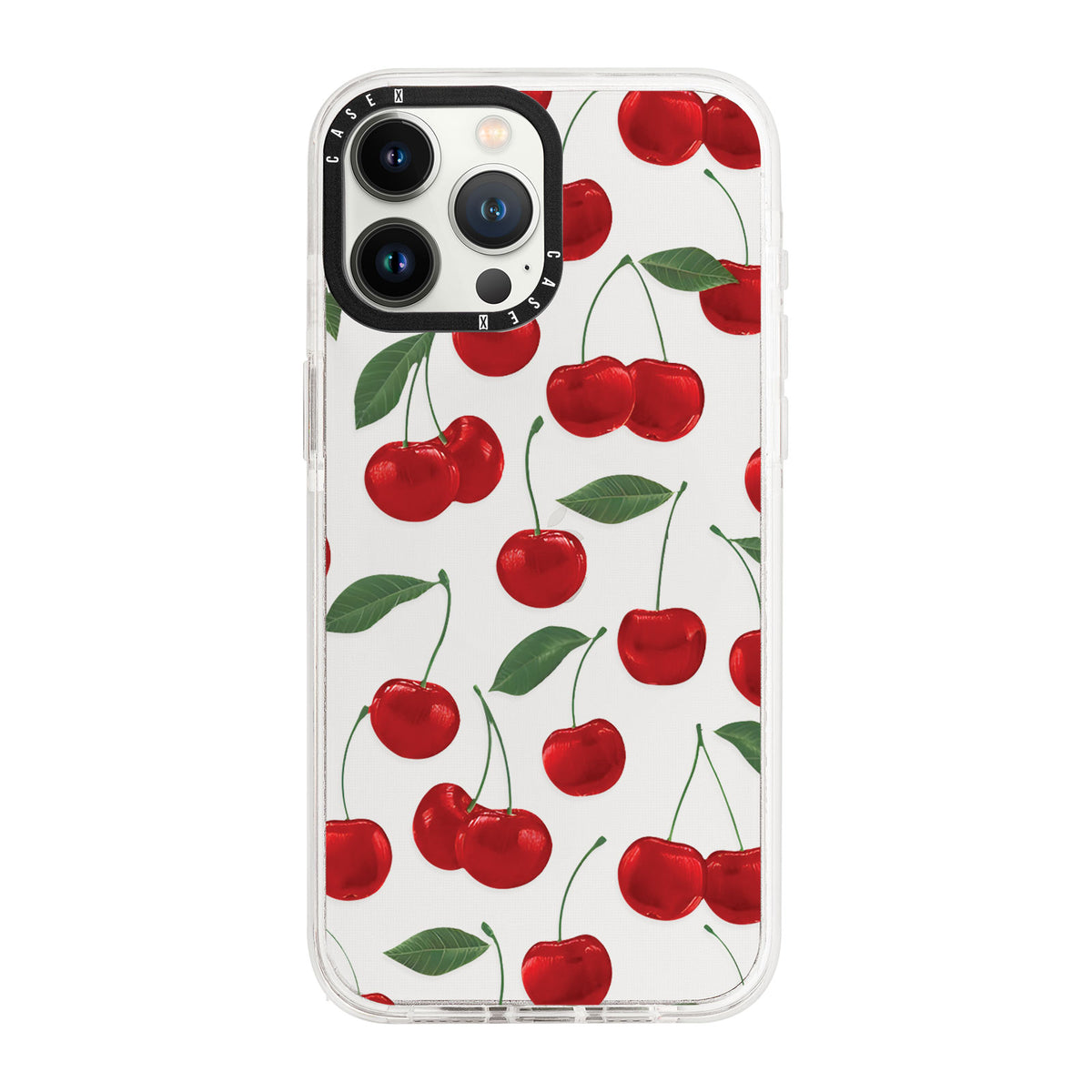 iPhone 13 Pro Max / Standard
