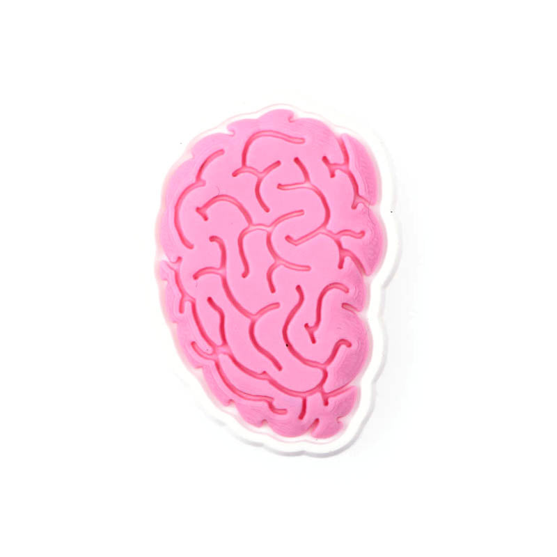 Brain