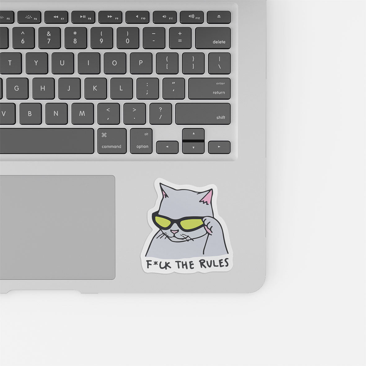 Fuck The Rules Cat