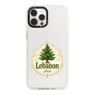 iPhone 12 Pro / Standard