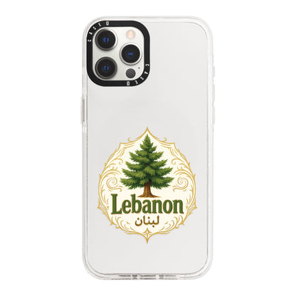 iPhone 12 Pro / Standard
