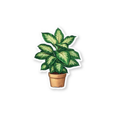 Houseplant