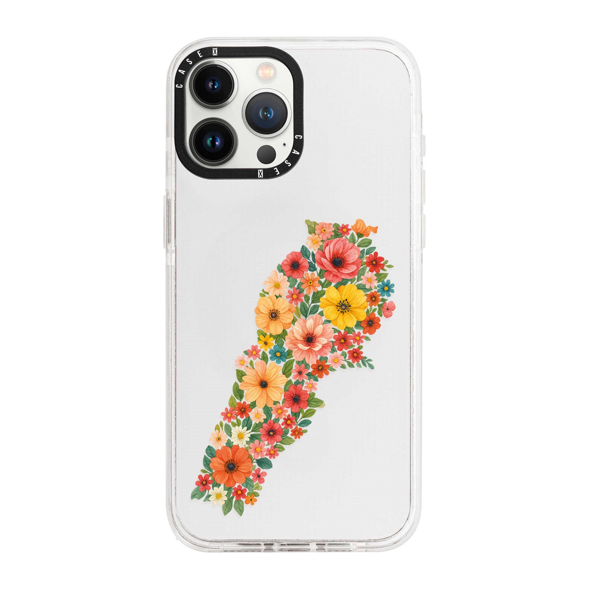 iPhone 13 Pro / Standard