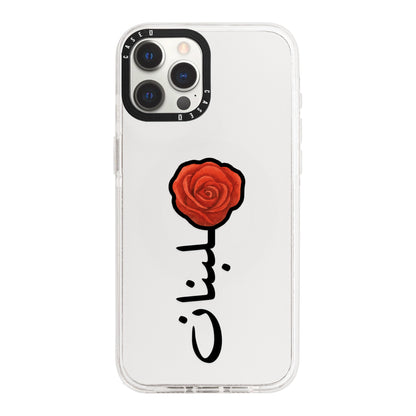 iPhone 12 Pro / Standard