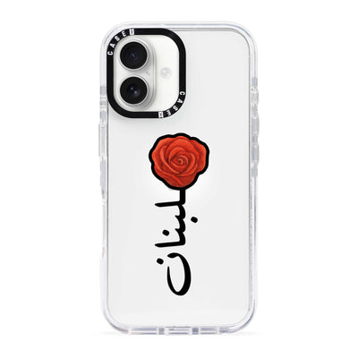 iPhone 17 / Standard