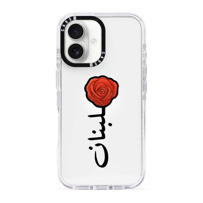 iPhone 17 / Standard