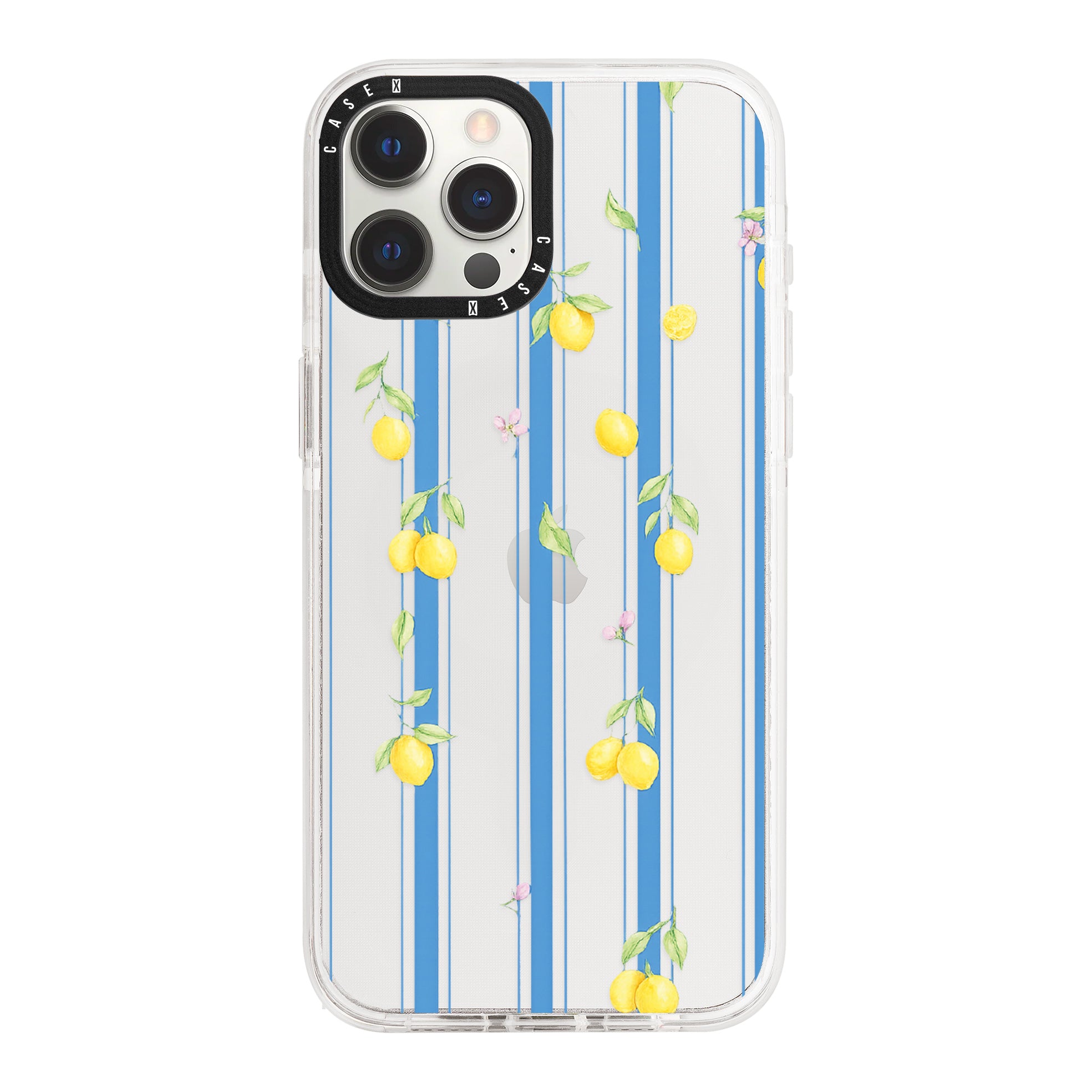 iPhone 12 Pro / Standard