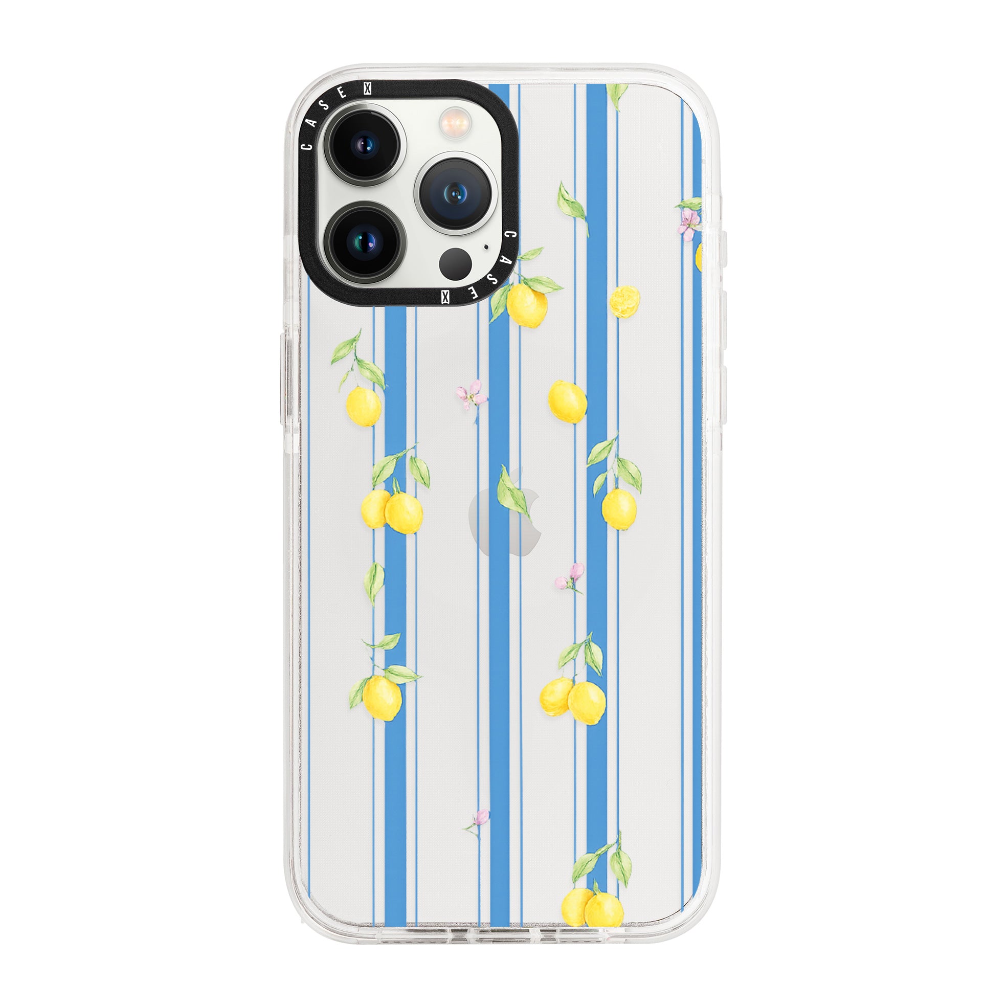 iPhone 13 Pro / Standard