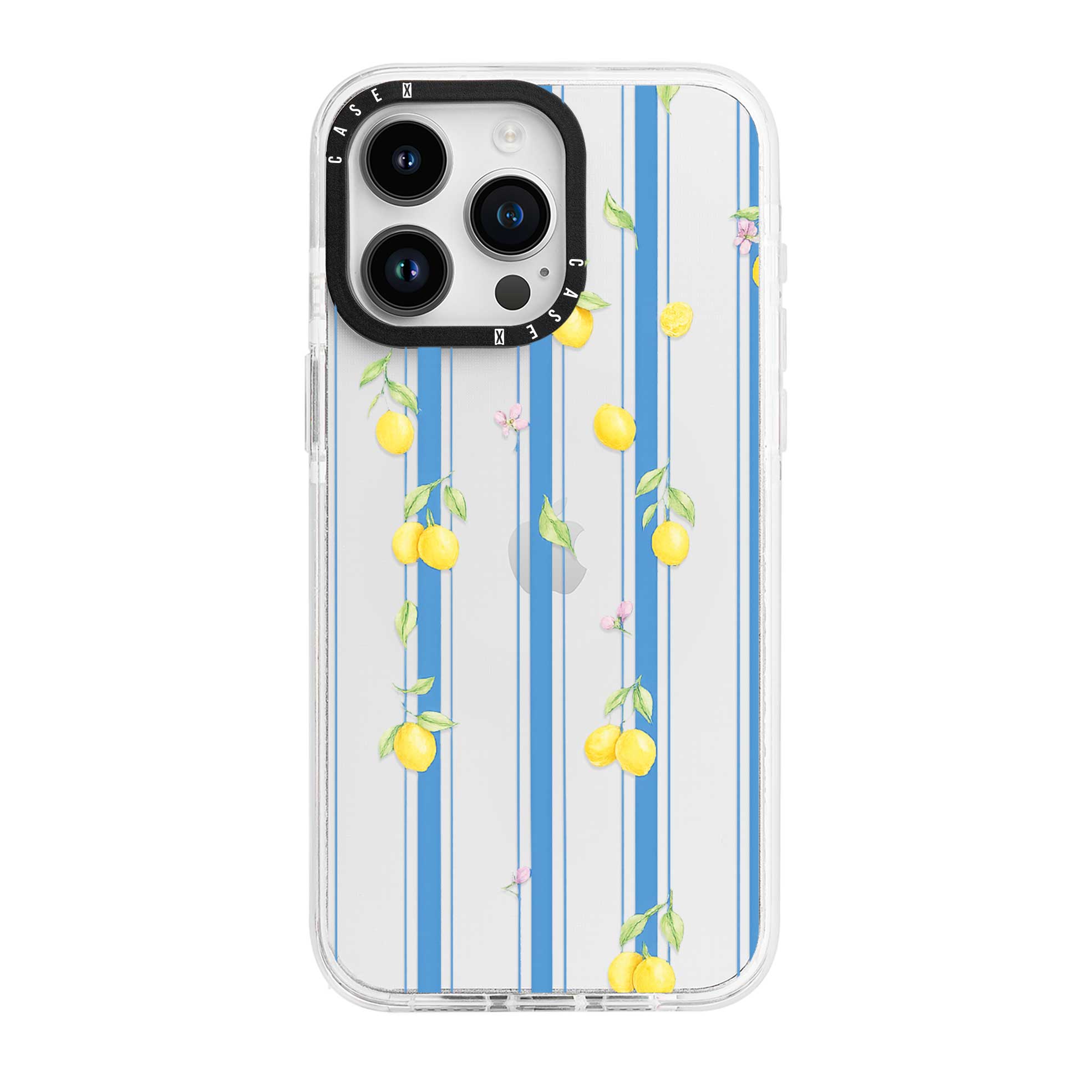 iPhone 15 Pro Max / Standard