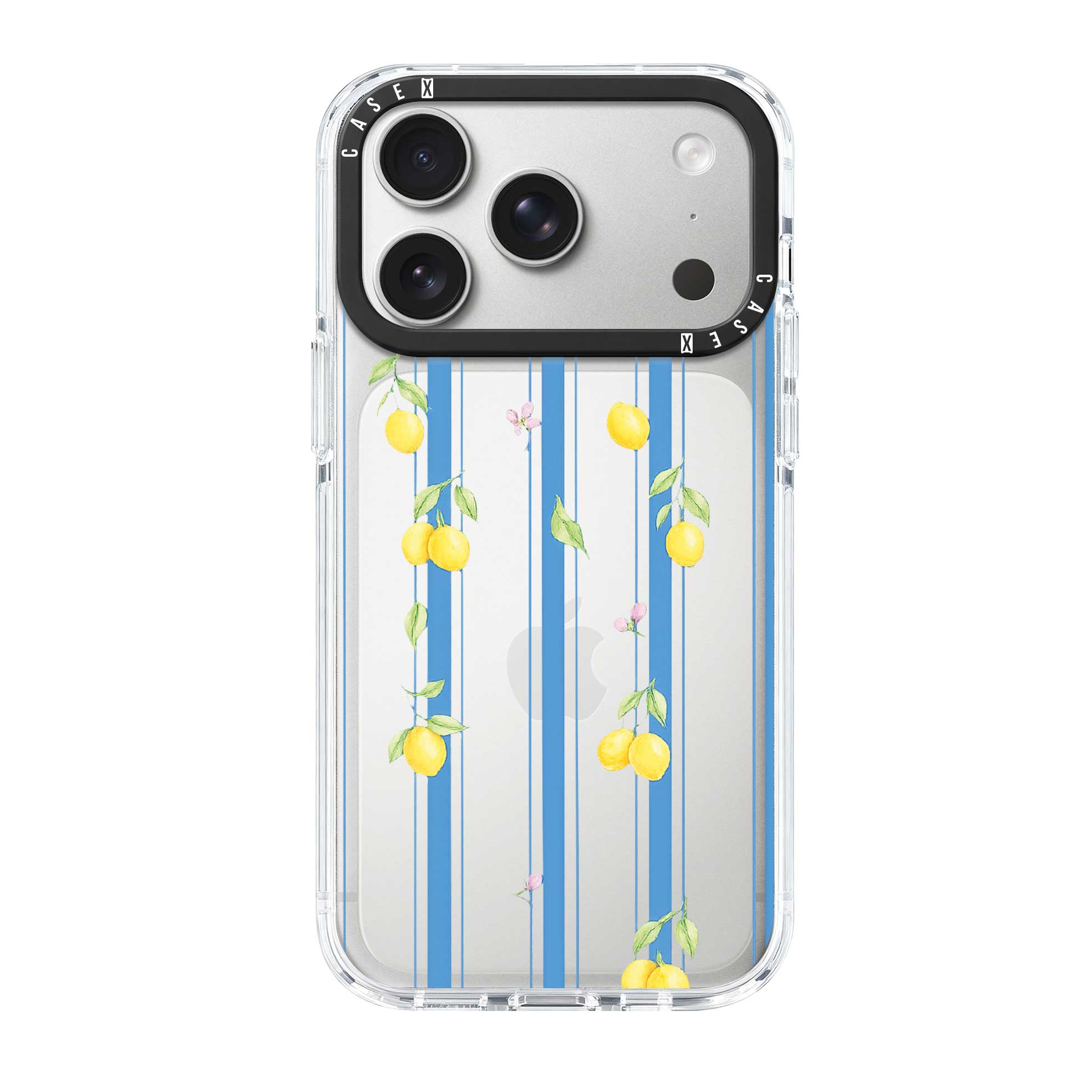 iPhone 17 Pro Max / Standard