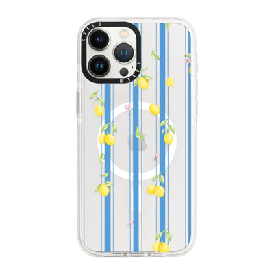iPhone 13 Pro Max / MagSafe