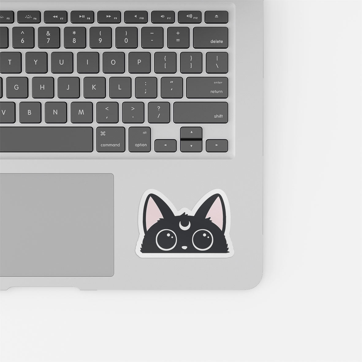 Moon Cat
