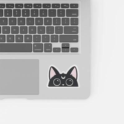 Moon Cat