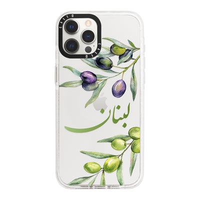 iPhone 12 Pro / Standard