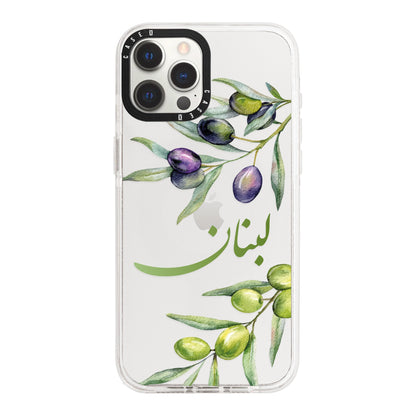 iPhone 12 Pro / Standard