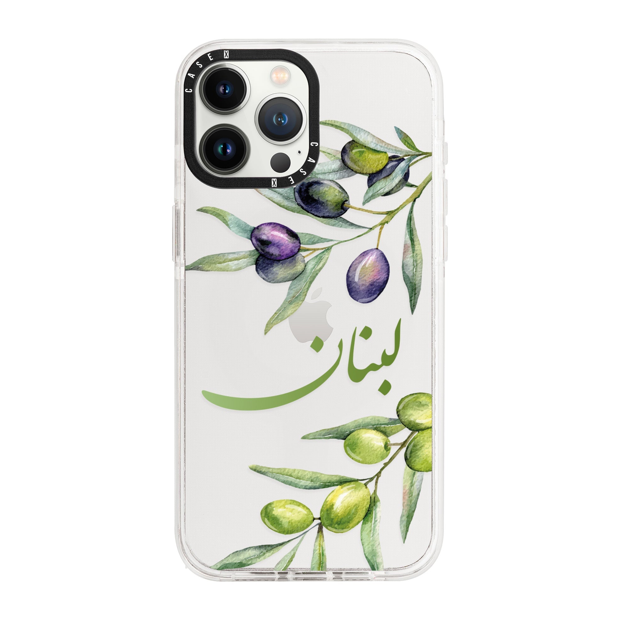 iPhone 13 Pro Max / Standard