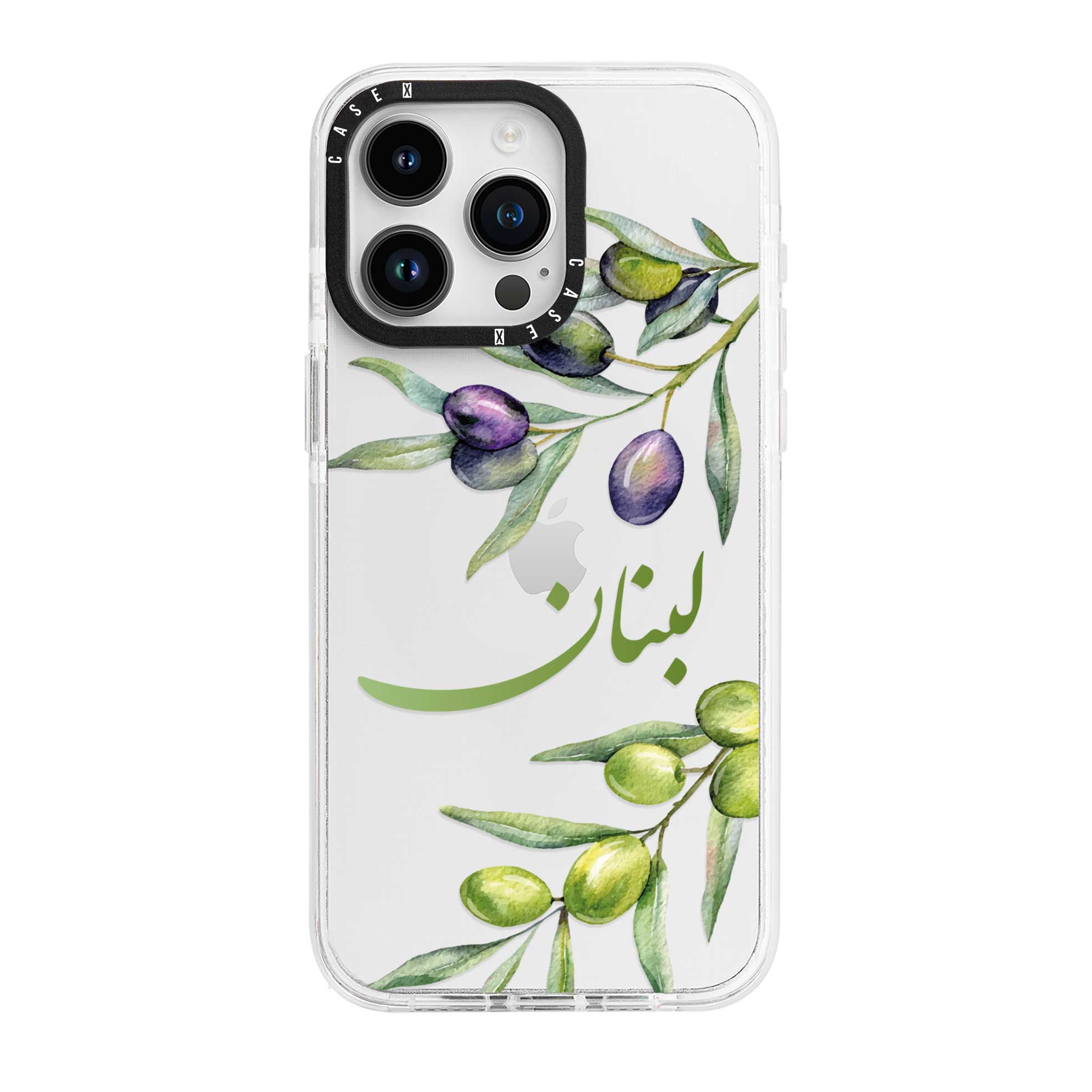 iPhone 16 Pro / Standard