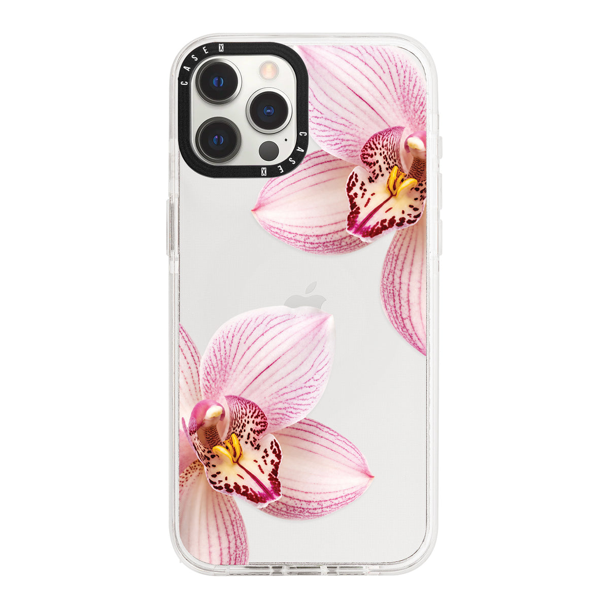 iPhone 12 Pro Max / Standard